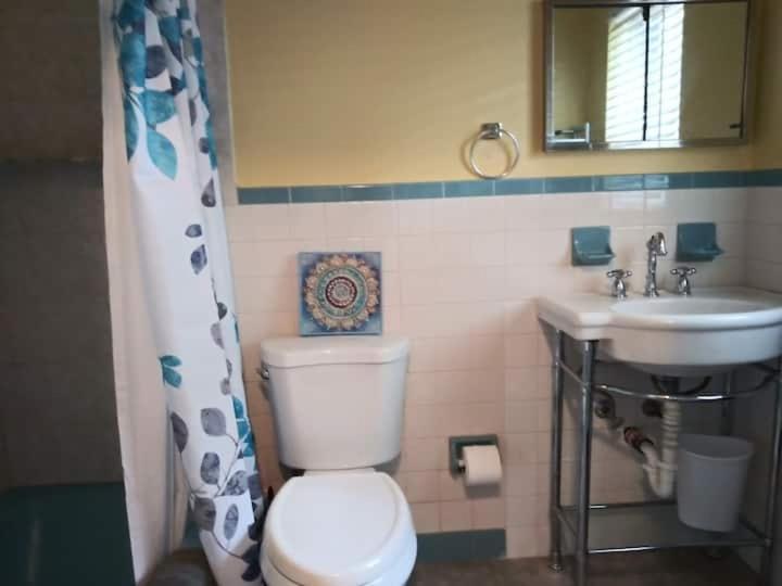 The Three Sisters - Crystal River Fl Habitación foto